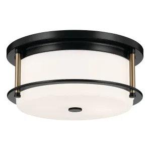 Brit 12 in. 2 Lights Flush Mount Light Black Finish