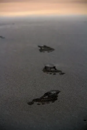 Footprints Of Happyness - Art Prints