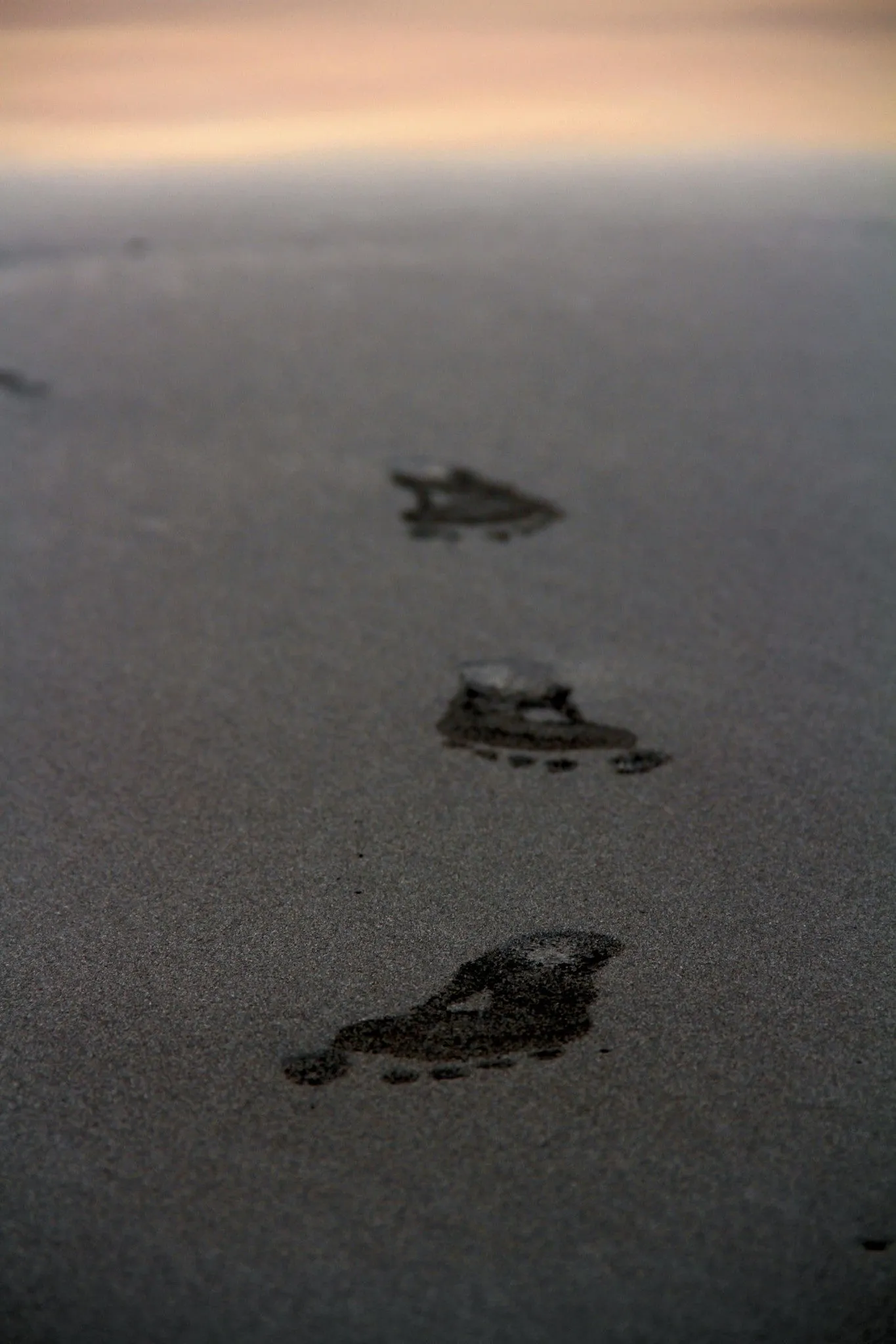 Footprints Of Happyness - Art Prints