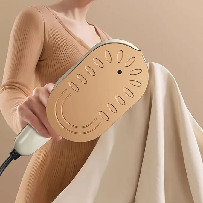 Handheld Electric Iron