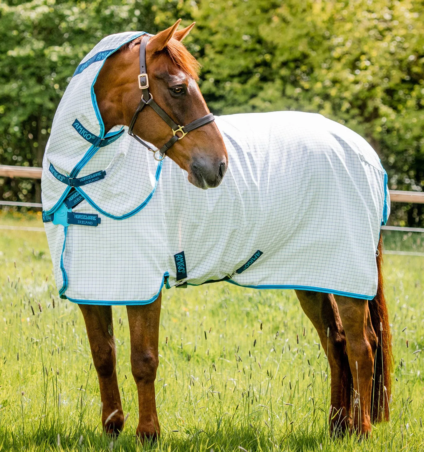Horseware Amigo Aussie All Rounder